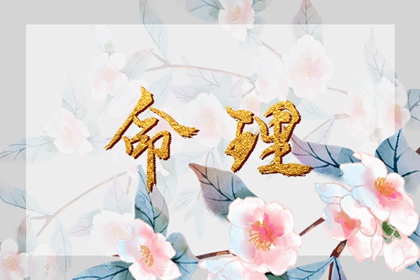 万年历黄历_今日黄历吉时宜忌查询_今日黄历2026年查询